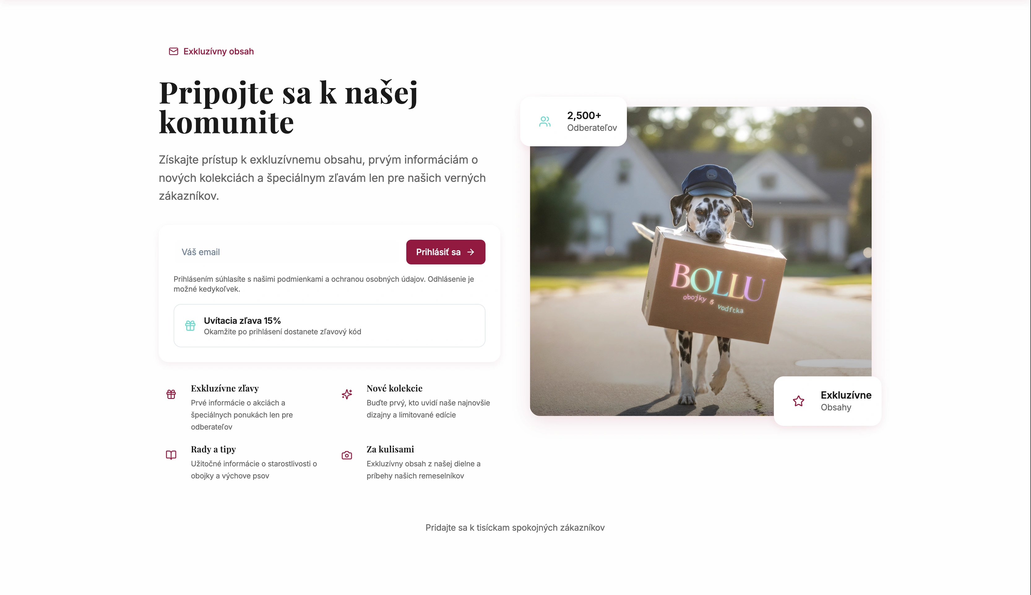 Bollu e-shop gallery shot 4